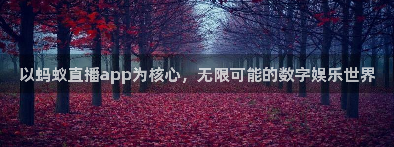 以蚂蚁直播app为核心，无限可能的数字娱乐世界
