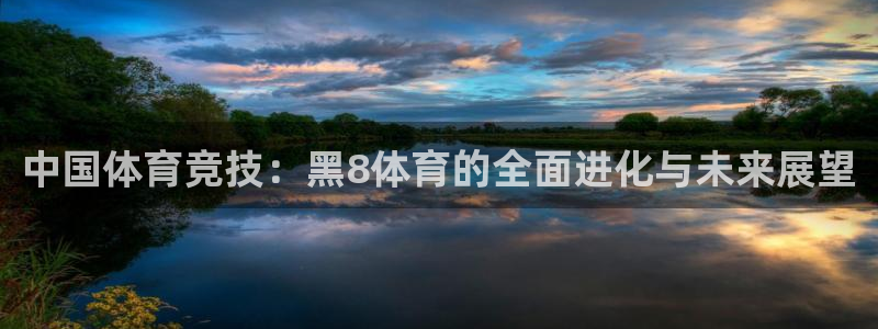 中国体育竞技：黑8体育的全面进化与未来展望