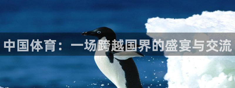 中国体育：一场跨越国界的盛宴与交流