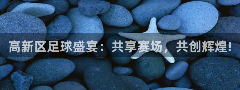 高新区足球盛宴：共享赛场，共创辉煌!