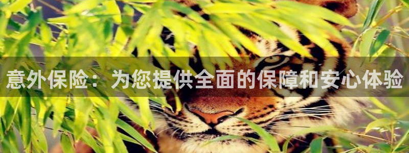 杏宇招商