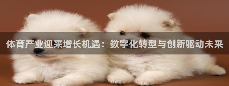 杏宇平台主管：体育产业迎来增长机遇：数字化转型与创新驱动未来
