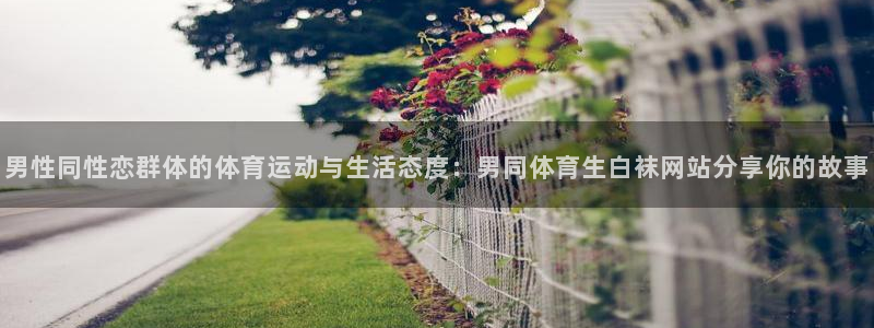 杏宇体育官网：男性同性恋群体的体育运动与生活态度：男同体育生白袜网站分享你的故事