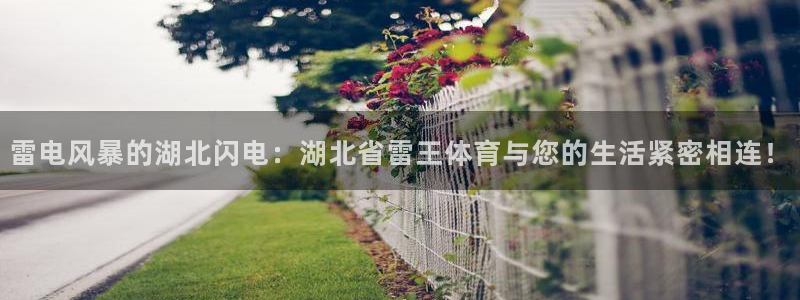 杏宇4代理：雷电风暴的湖北闪电：湖北省雷王体育与您的生活紧密相连！