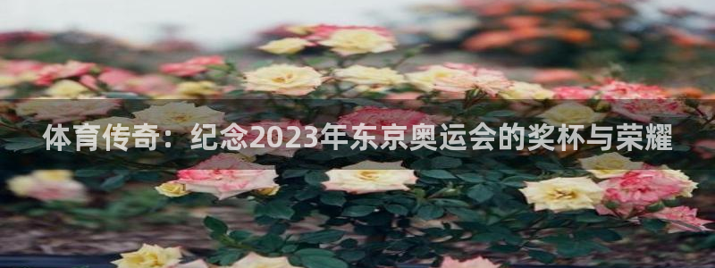 杏宇4平台：体育传奇：纪念2023年东京奥运会的奖杯与荣耀
