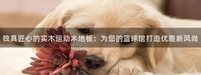 杏宇平台官网登录入口：独具匠心的实木运动木地板：为您的篮球馆打造优雅新风尚