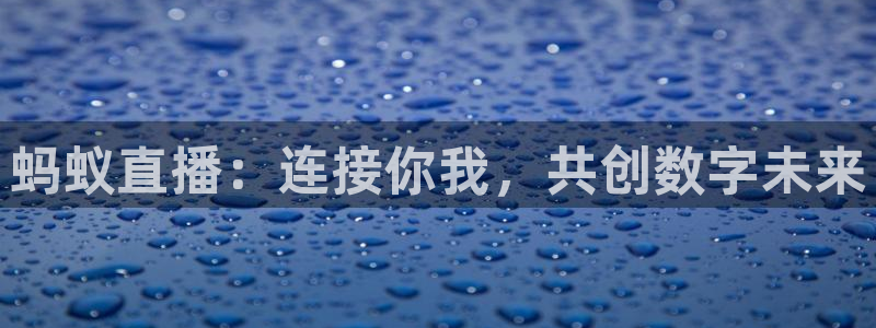 杏宇体育3：蚂蚁直播：连接你我，共创数字未来