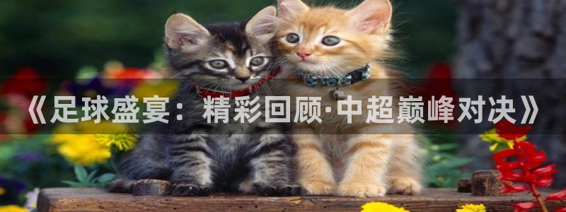 杏宇体育注册：《足球盛宴：精彩回顾·中超巅峰对决》