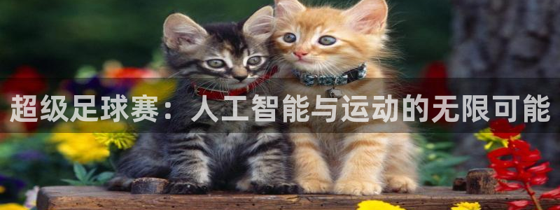 杏宇凯捷平台注册链接：超级足球赛：人工智能与运动的无限可能